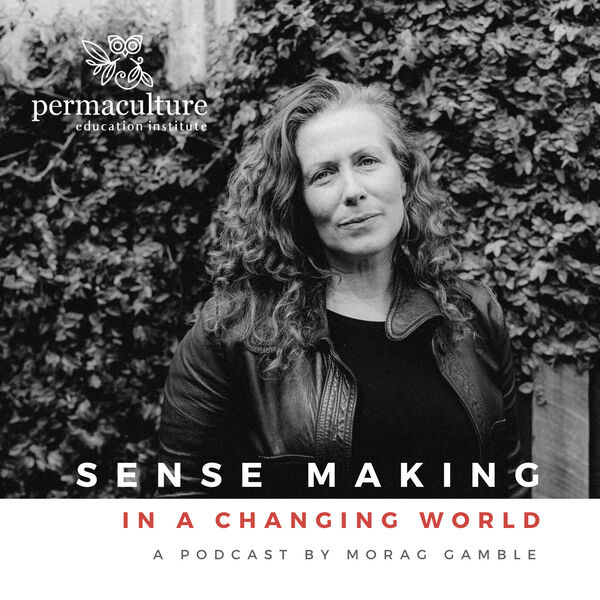 Sense-making in a changing world podcast logo