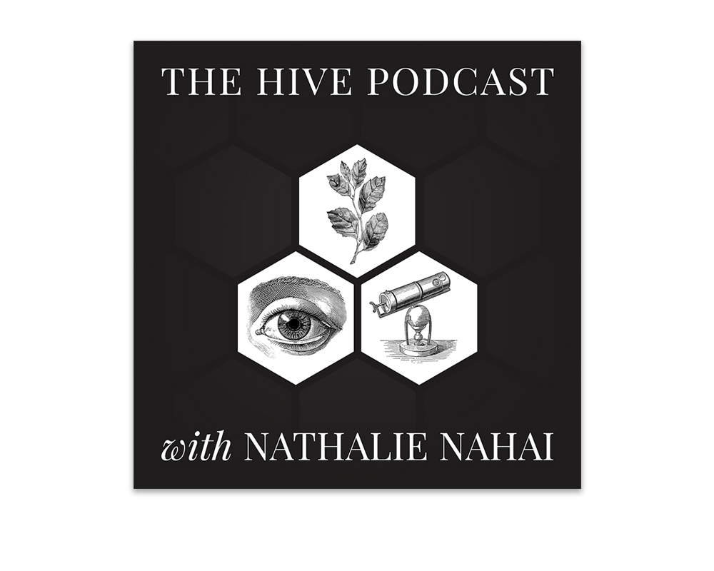 The Hive Podcast logo