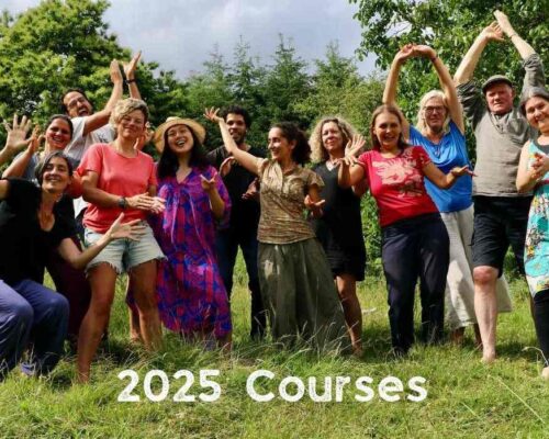 2025 courses